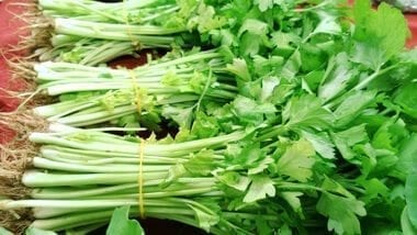 Chinese vegetables: chinese celery, by bmeteor.aiodimecu.cf