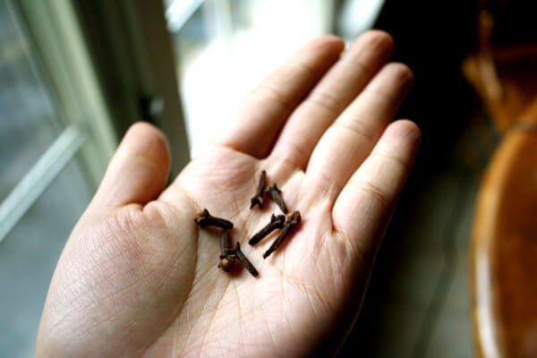 cloves by bmeteor.aiodimecu.cf