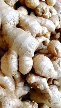 ginger