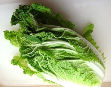 Chinese vegetables: napa cabbage, by bmeteor.aiodimecu.cf