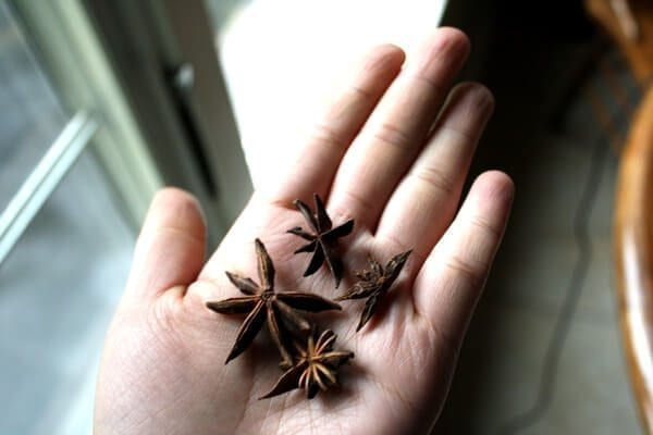 star anise by bmeteor.aiodimecu.cf