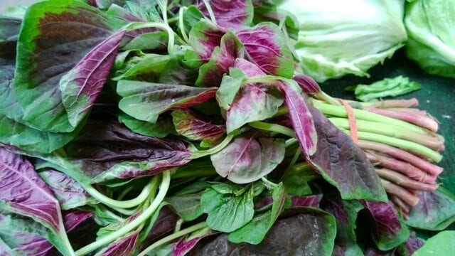 Chinese vegetables: amaranth, by bmeteor.aiodimecu.cf