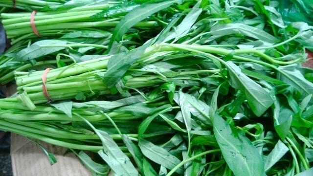 Chinese vegetables: water spinach , by bmeteor.aiodimecu.cf