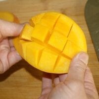 mango city