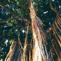 16 Reasons Why Hawaii is Pretttttty Much The Bomb, by bmeteor.aiodimecu.cf