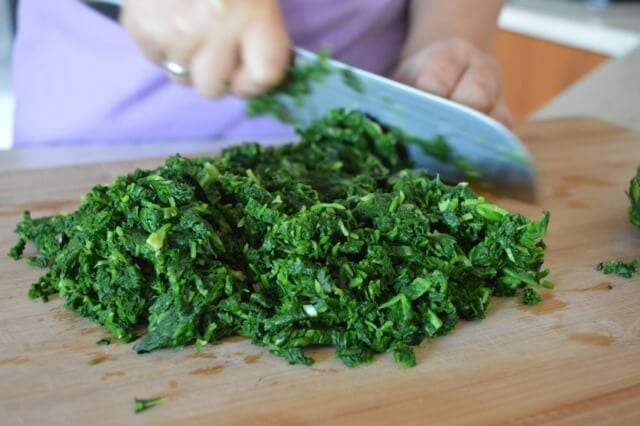 The ONLY Dumpling Recipe You'll Ever Need by bmeteor.aiodimecu.cf
