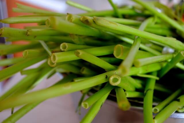 Stir Fried Water Spinach with Fermented Tofu, by bmeteor.aiodimecu.cf