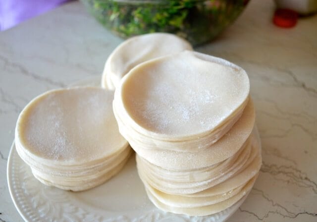 The ONLY Dumpling Recipe You'll Ever Need by bmeteor.aiodimecu.cf