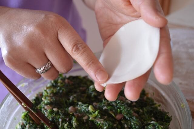 The ONLY Dumpling Recipe You'll Ever Need by bmeteor.aiodimecu.cf