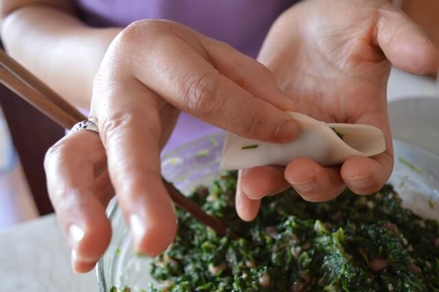The ONLY Dumpling Recipe You'll Ever Need by bmeteor.aiodimecu.cf