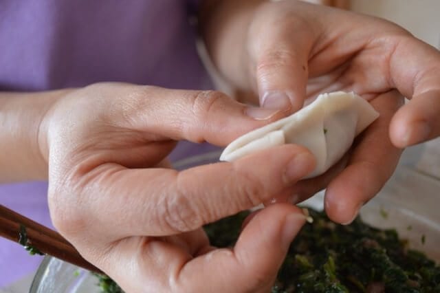 The ONLY Dumpling Recipe You'll Ever Need by bmeteor.aiodimecu.cf