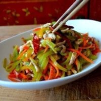 Shredded Pork Stir-Fry, An Easy Yu Xiang Rou Si, by bmeteor.aiodimecu.cf