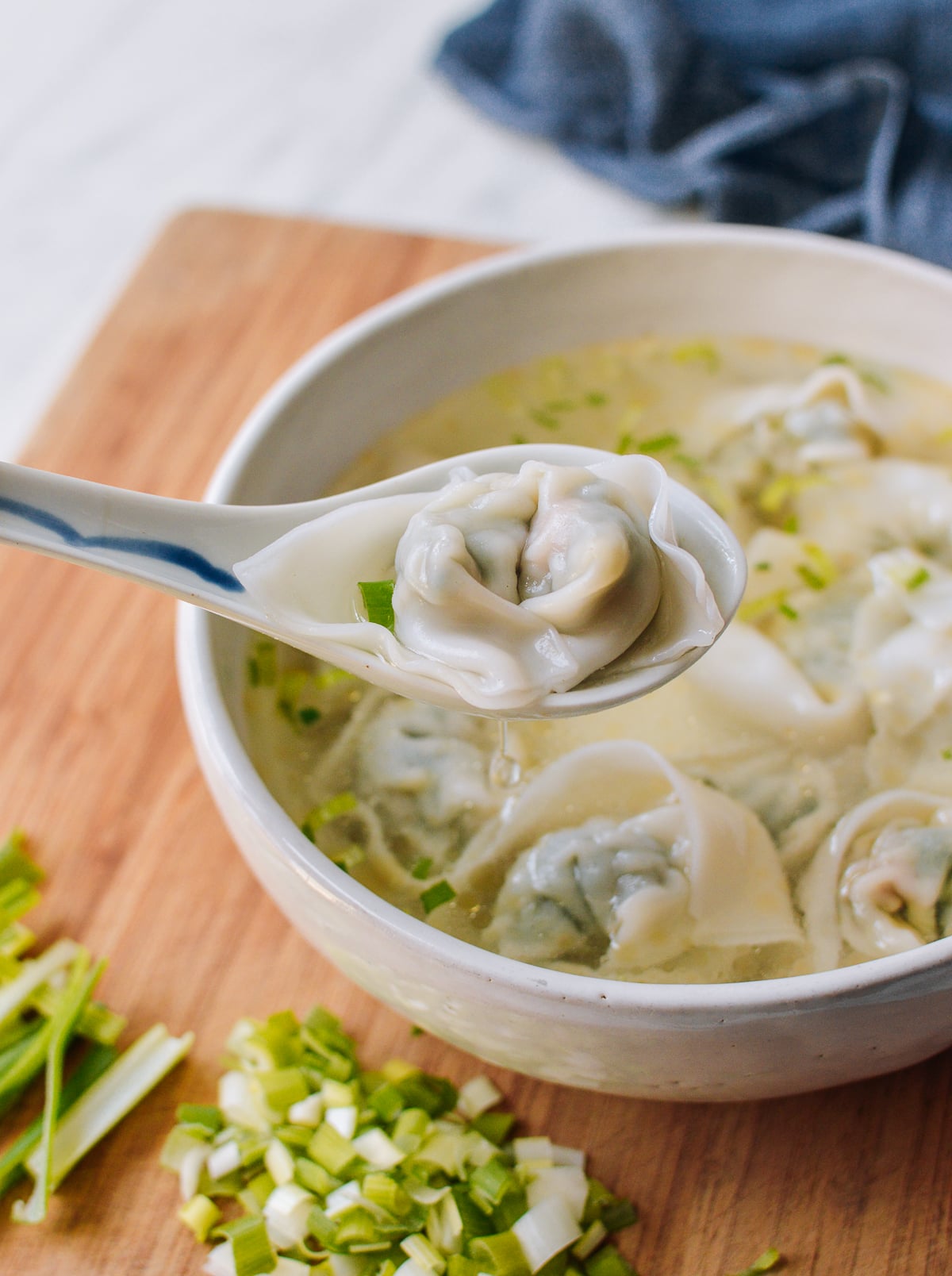 Wonton Soup Recipe, bmeteor.aiodimecu.cf