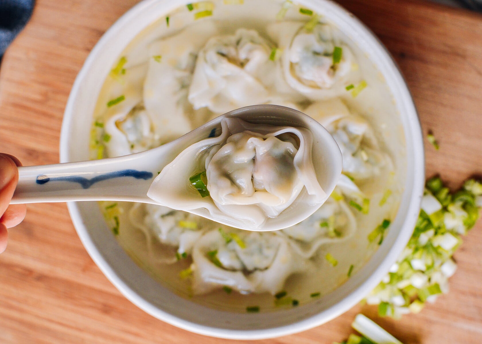 Wonton Soup Recipe, bmeteor.aiodimecu.cf