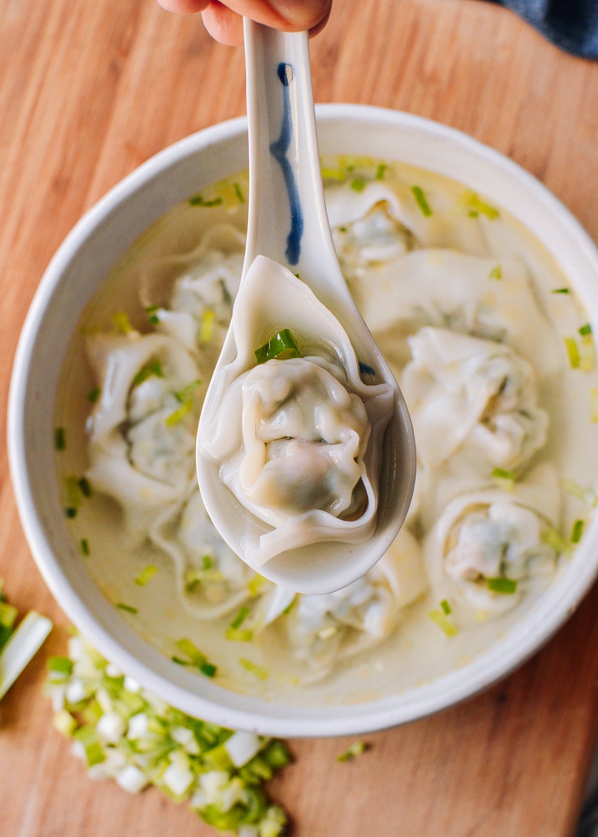 Wonton Soup Recipe, bmeteor.aiodimecu.cf