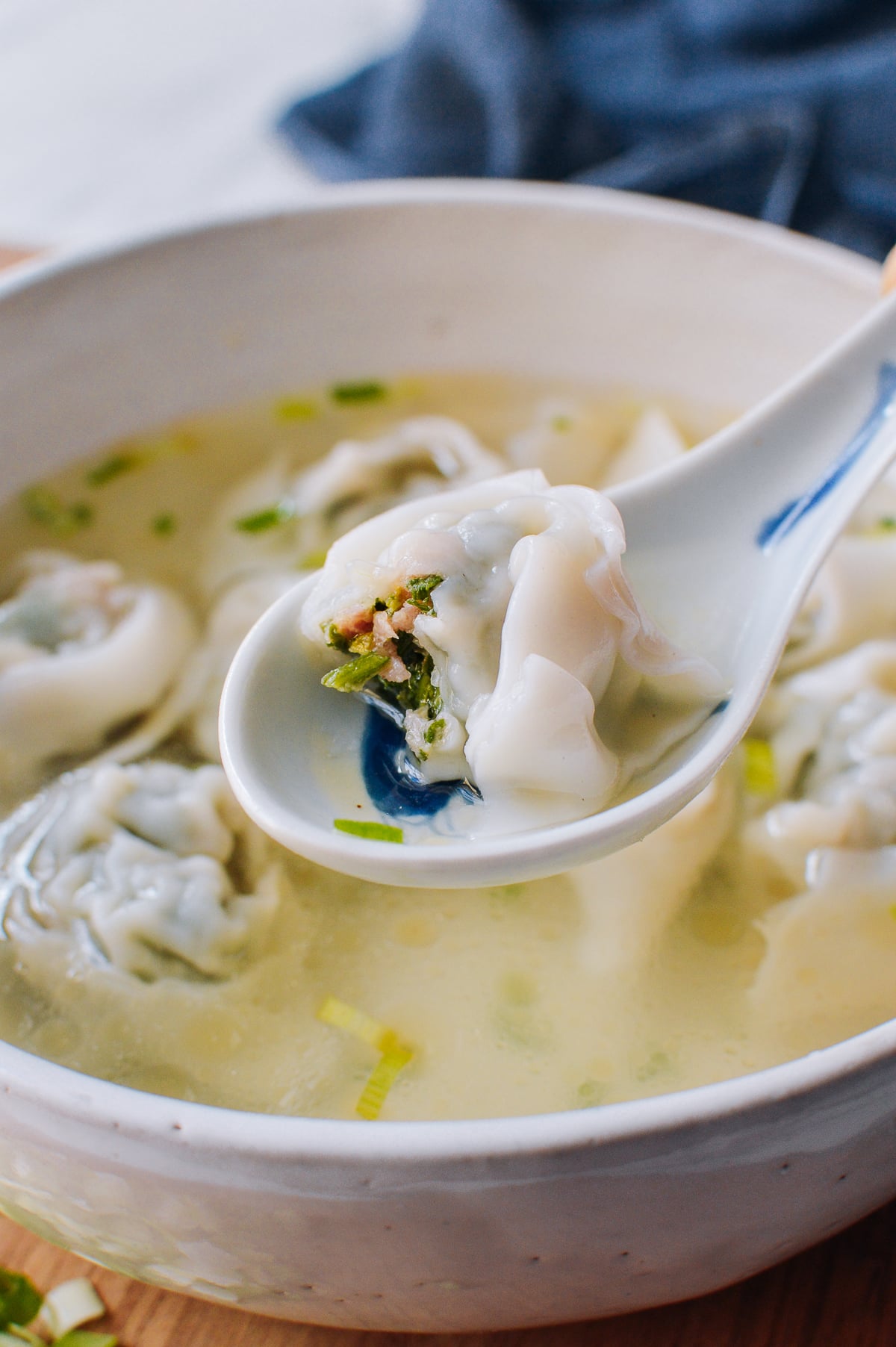 Wonton Soup Recipe, bmeteor.aiodimecu.cf