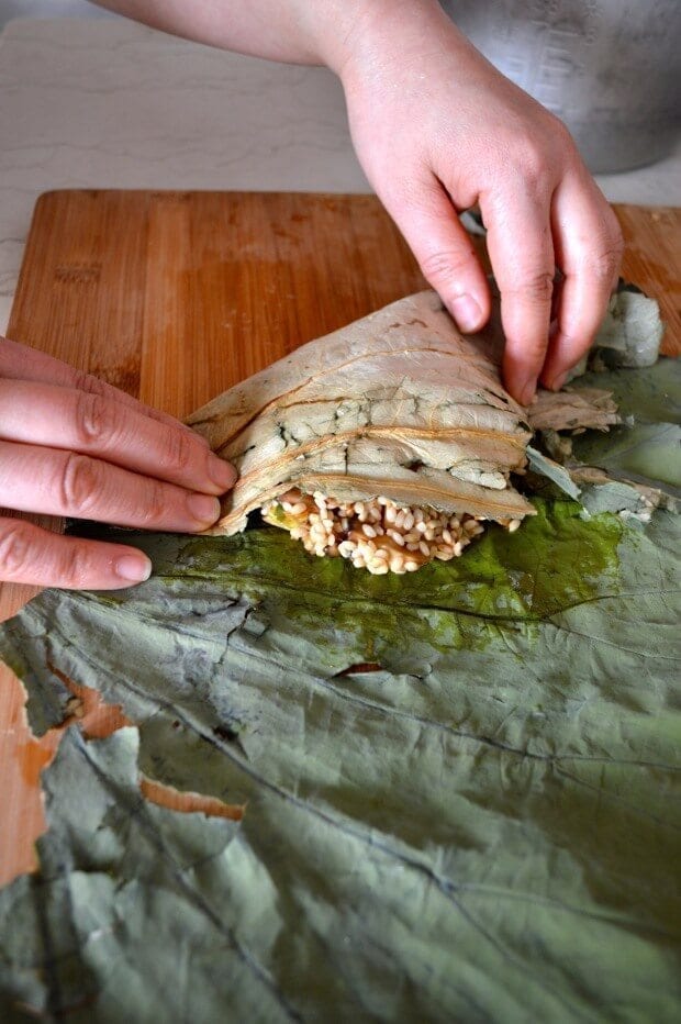 Dim Sum Sticky Rice Lotus Leaf Wraps (Lo Mai Gai), by bmeteor.aiodimecu.cf