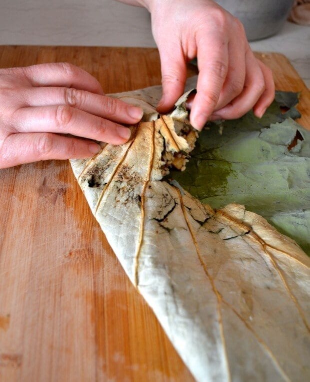 Dim Sum Sticky Rice Lotus Leaf Wraps (Lo Mai Gai), by bmeteor.aiodimecu.cf