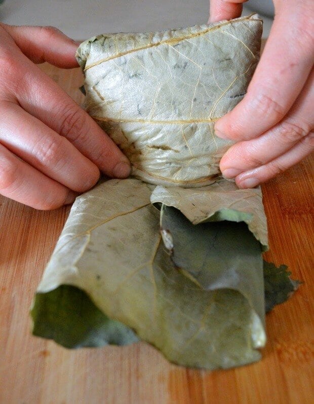 Dim Sum Sticky Rice Lotus Leaf Wraps (Lo Mai Gai), by bmeteor.aiodimecu.cf