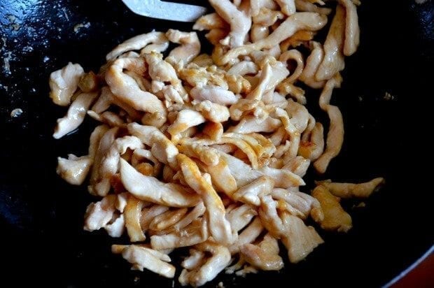 Chicken Pan-Fried Noodles (Gai See Chow Mein) by bmeteor.aiodimecu.cf