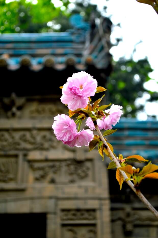 A Trip to Huashan and Xi'an by bmeteor.aiodimecu.cf 