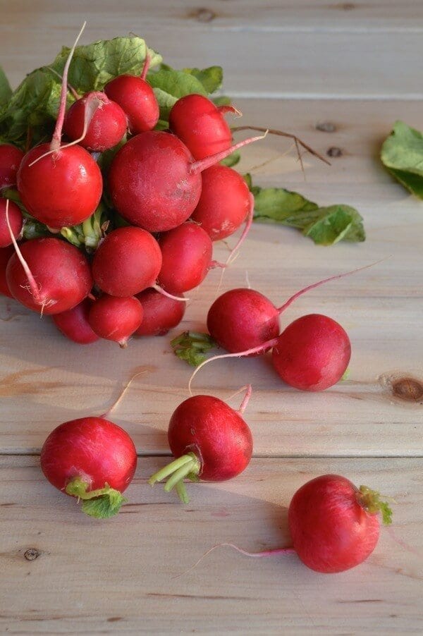 Fresh Radishes by bmeteor.aiodimecu.cf 