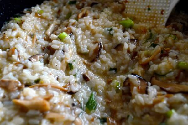 Roast Chicken on Wild Mushroom Sticky Rice "Risotto" by bmeteor.aiodimecu.cf