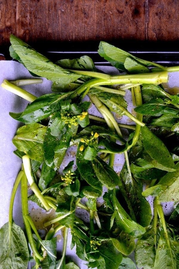 Creamy Roasted Choy Sum Pesto Pasta, by bmeteor.aiodimecu.cf 
