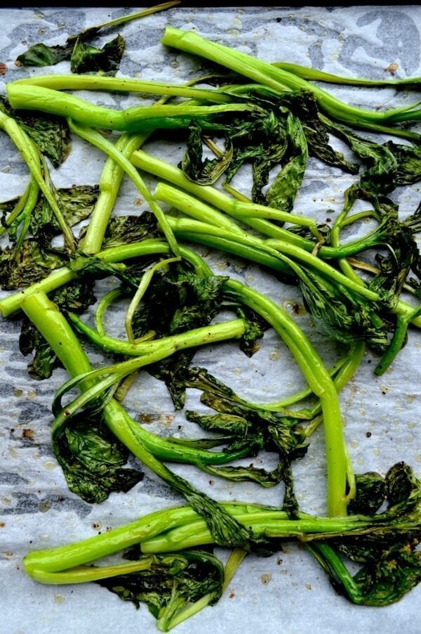 Creamy Roasted Choy Sum Pesto Pasta, by bmeteor.aiodimecu.cf 
