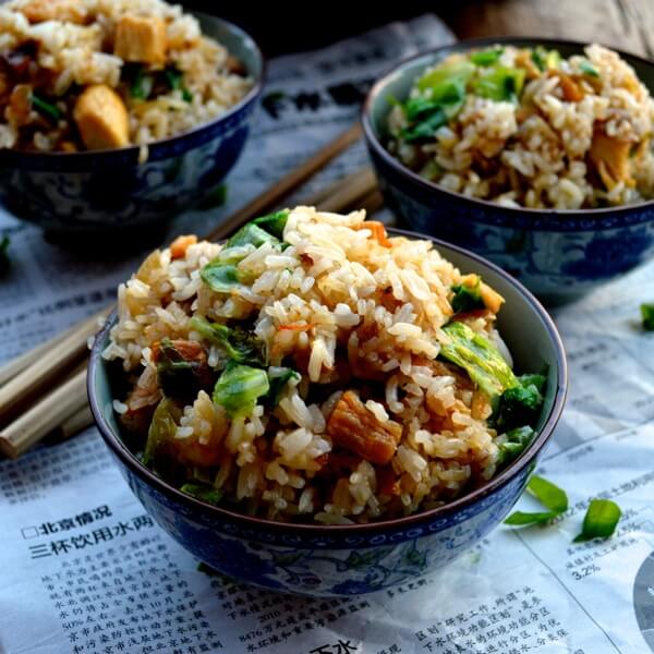 Cantonese Chicken and Salted Fish Fried Rice by bmeteor.aiodimecu.cf