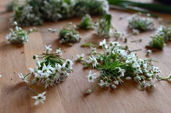 Chinese Garlic Chive Flower Tempura Recipe, by bmeteor.aiodimecu.cf, by bmeteor.aiodimecu.cf 