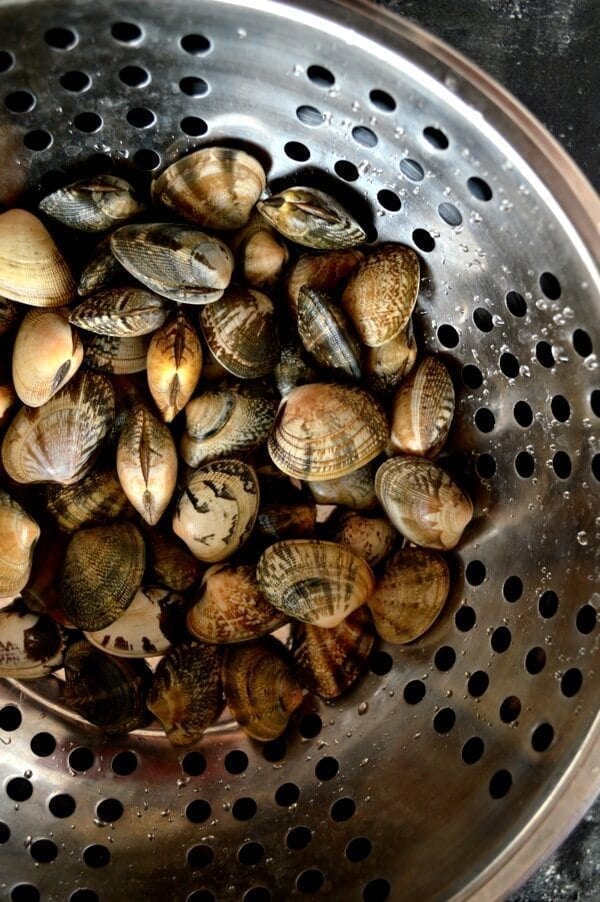Stir-Fried Fresh Clams in Black Bean Sauce by bmeteor.aiodimecu.cf