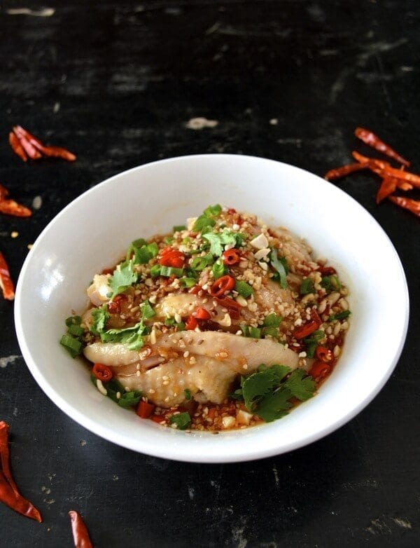 Drool-worthy Chicken in Chili Oil Sauce (Kou Shui Ji), by bmeteor.aiodimecu.cf