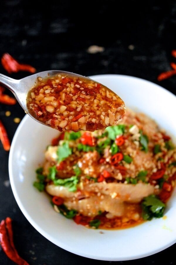 Drool-worthy Chicken in Chili Oil Sauce (Kou Shui Ji), by bmeteor.aiodimecu.cf