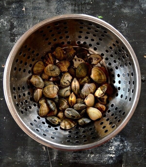 Stir-Fried Fresh Clams in Black Bean Sauce by bmeteor.aiodimecu.cf