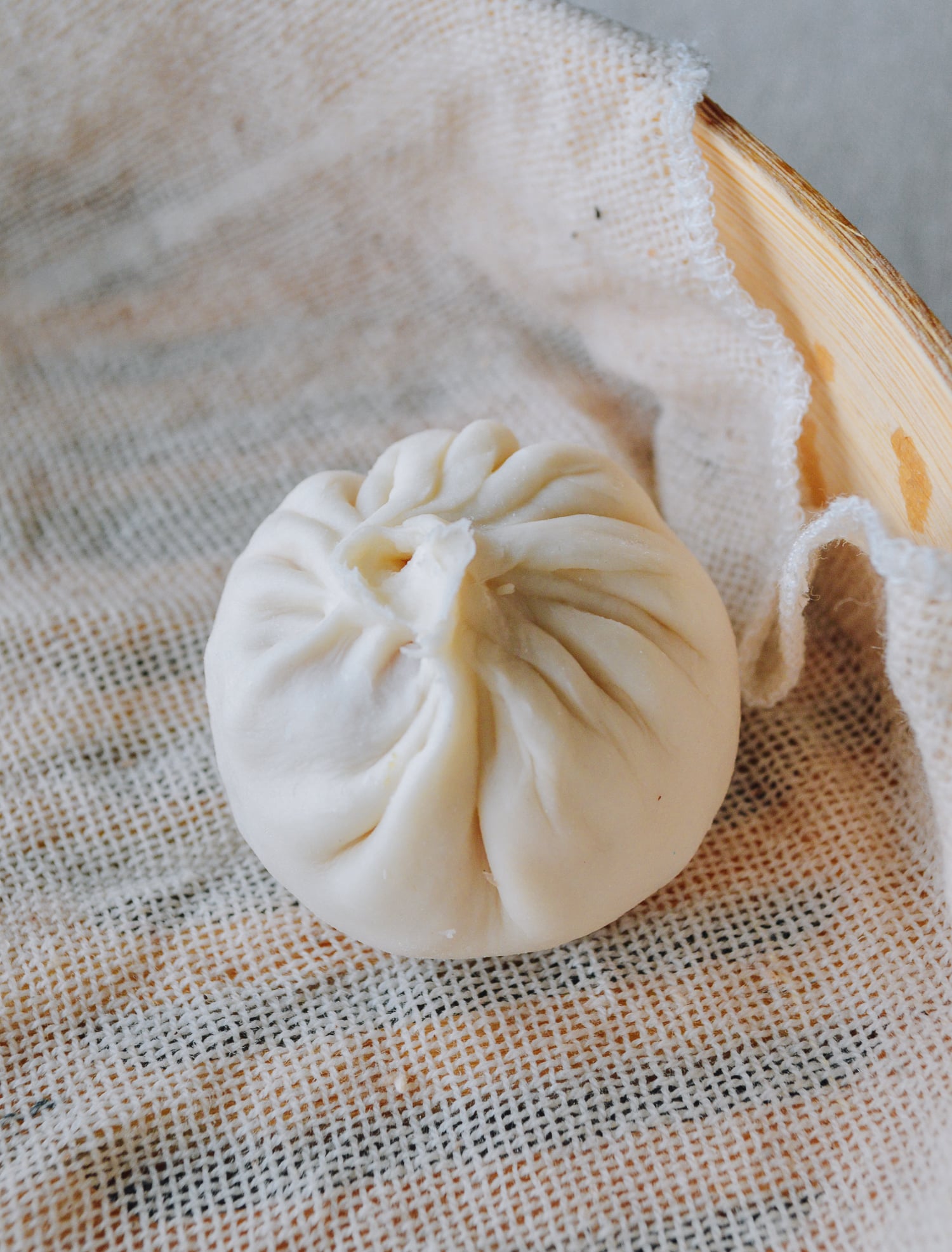 Single soup dumpling with many folds, by bmeteor.aiodimecu.cf
