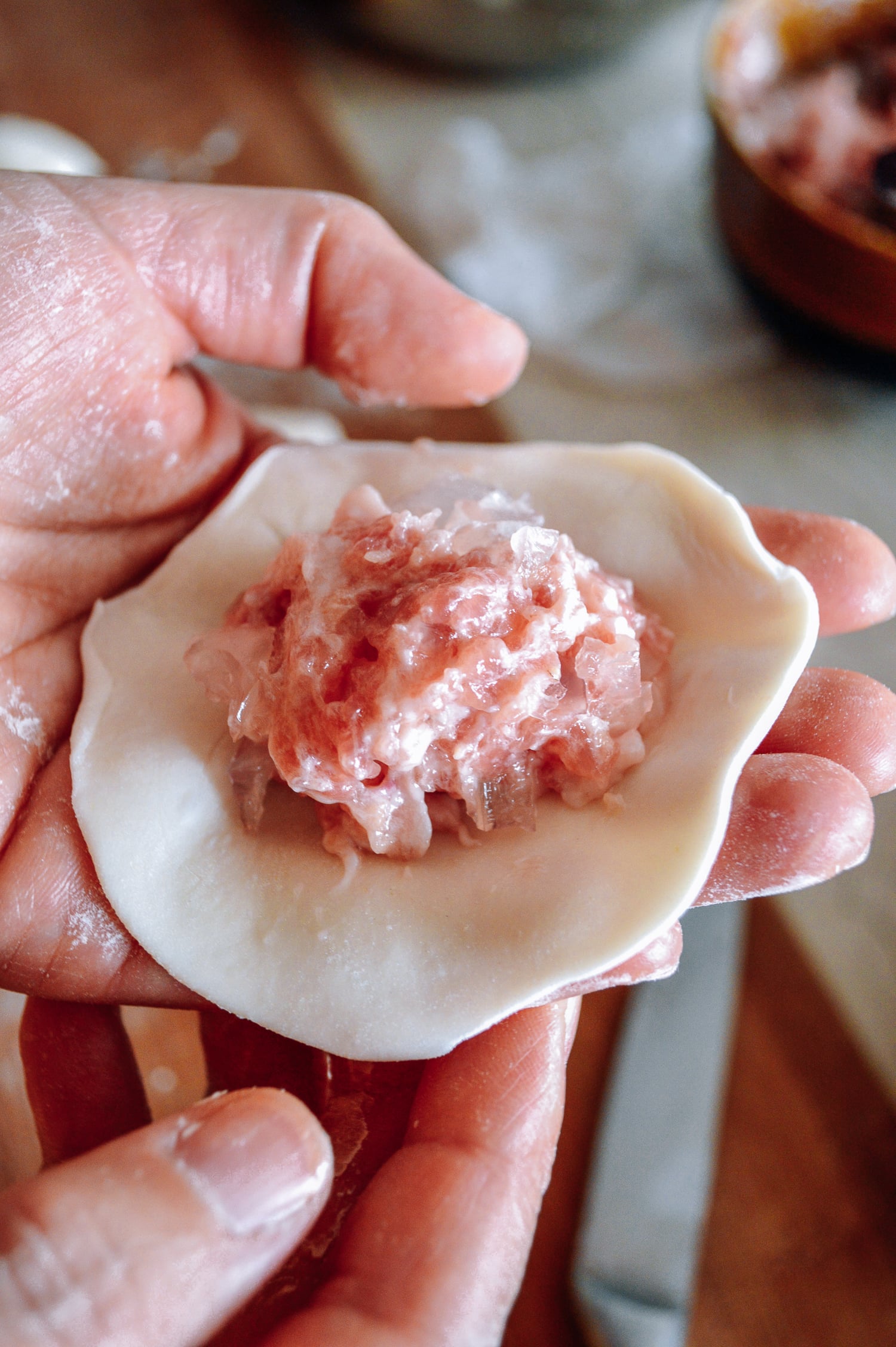 Pork and aspic filling on thin dumpling wrapper, by bmeteor.aiodimecu.cf