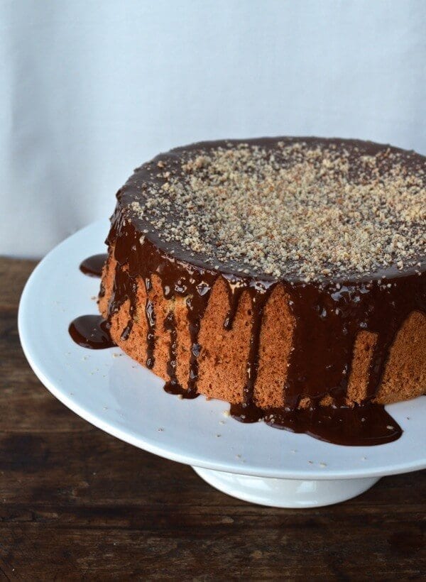 Flourless Chocolate Citrus Almond Cake by bmeteor.aiodimecu.cf