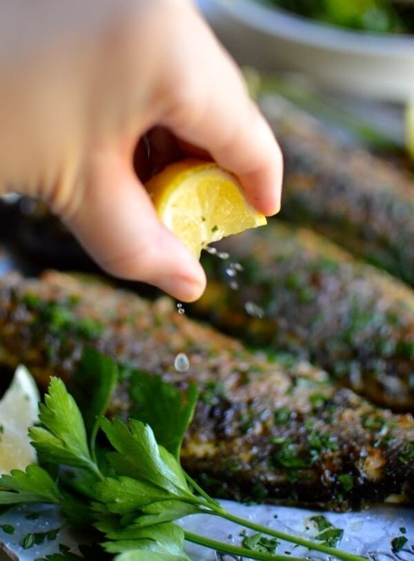 Lemon Soy Roasted Branzino, by bmeteor.aiodimecu.cf
