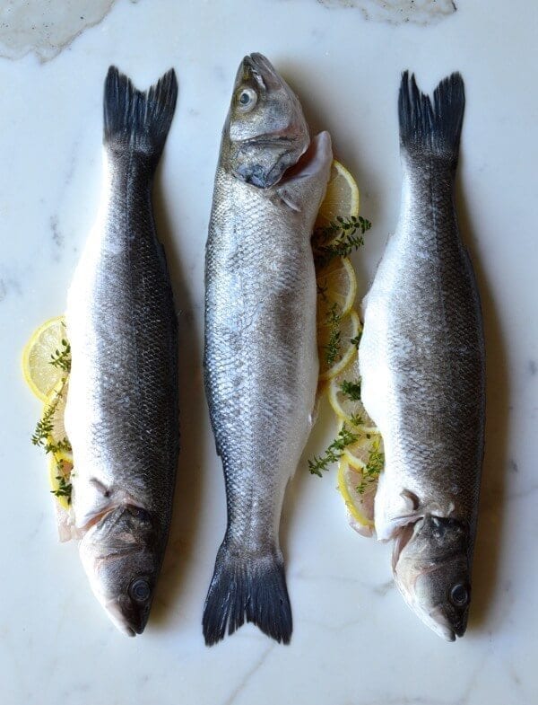 Lemon Soy Roasted Branzino, by bmeteor.aiodimecu.cf