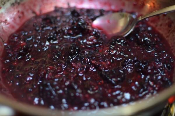 Quick Blackberry Apple Tart, by bmeteor.aiodimecu.cf