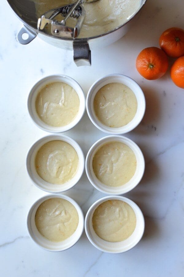 Clementine Cakes, by bmeteor.aiodimecu.cf