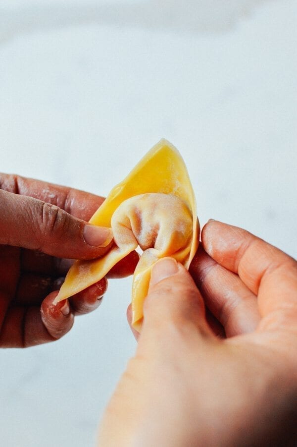 Cantonese Wonton Noodle Soup, by bmeteor.aiodimecu.cf