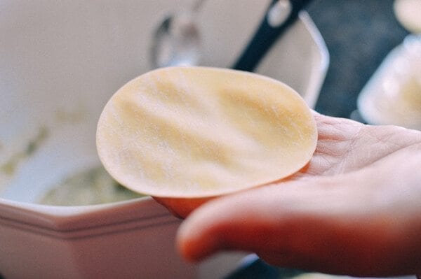 Easiest Pork and Cabbage Potstickers Recipe Ever by bmeteor.aiodimecu.cf