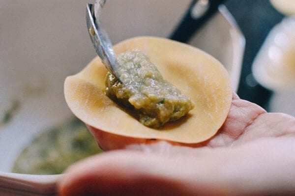 Easiest Pork and Cabbage Potstickers Recipe Ever by bmeteor.aiodimecu.cf