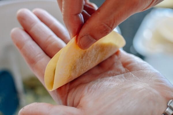 Easiest Pork and Cabbage Potstickers Recipe Ever by bmeteor.aiodimecu.cf