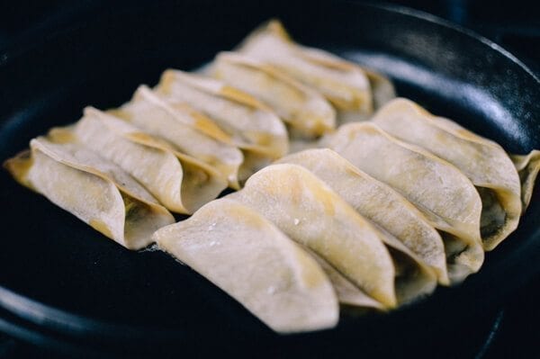 Easiest Pork and Cabbage Potstickers Recipe Ever by bmeteor.aiodimecu.cf