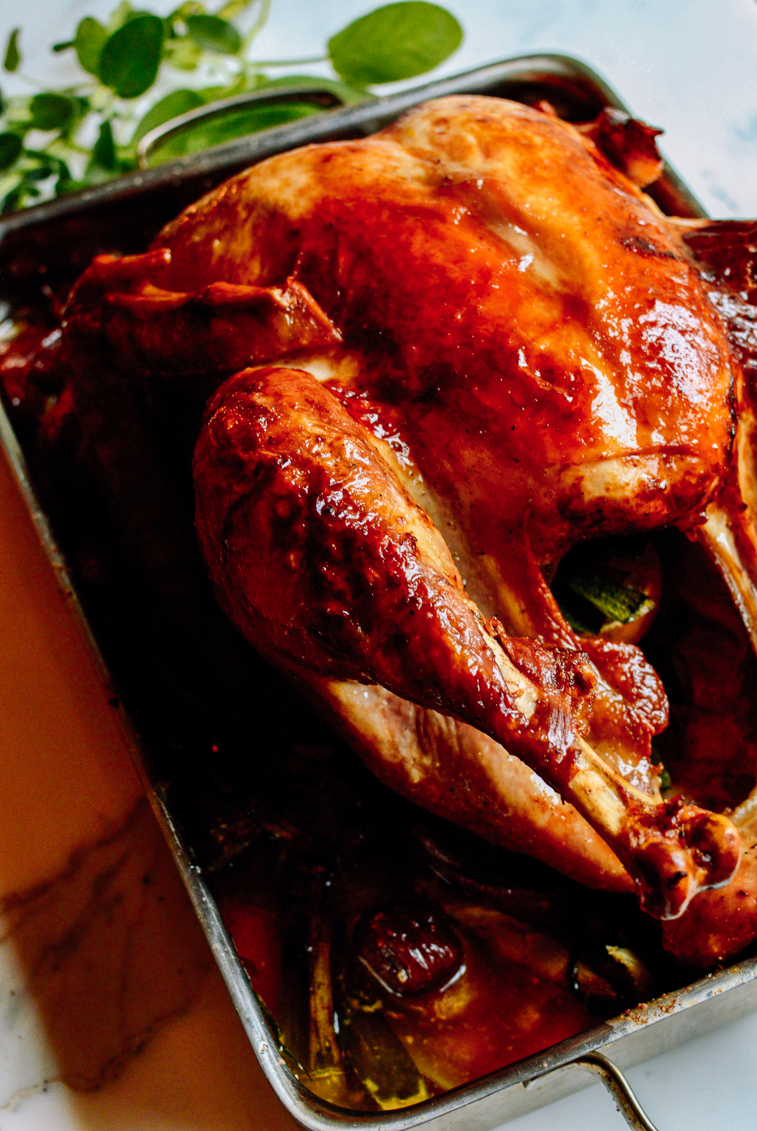 Grandpa's Thanksgiving Turkey, by bmeteor.aiodimecu.cf