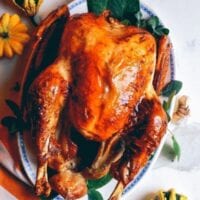 Thanksgiving turkey