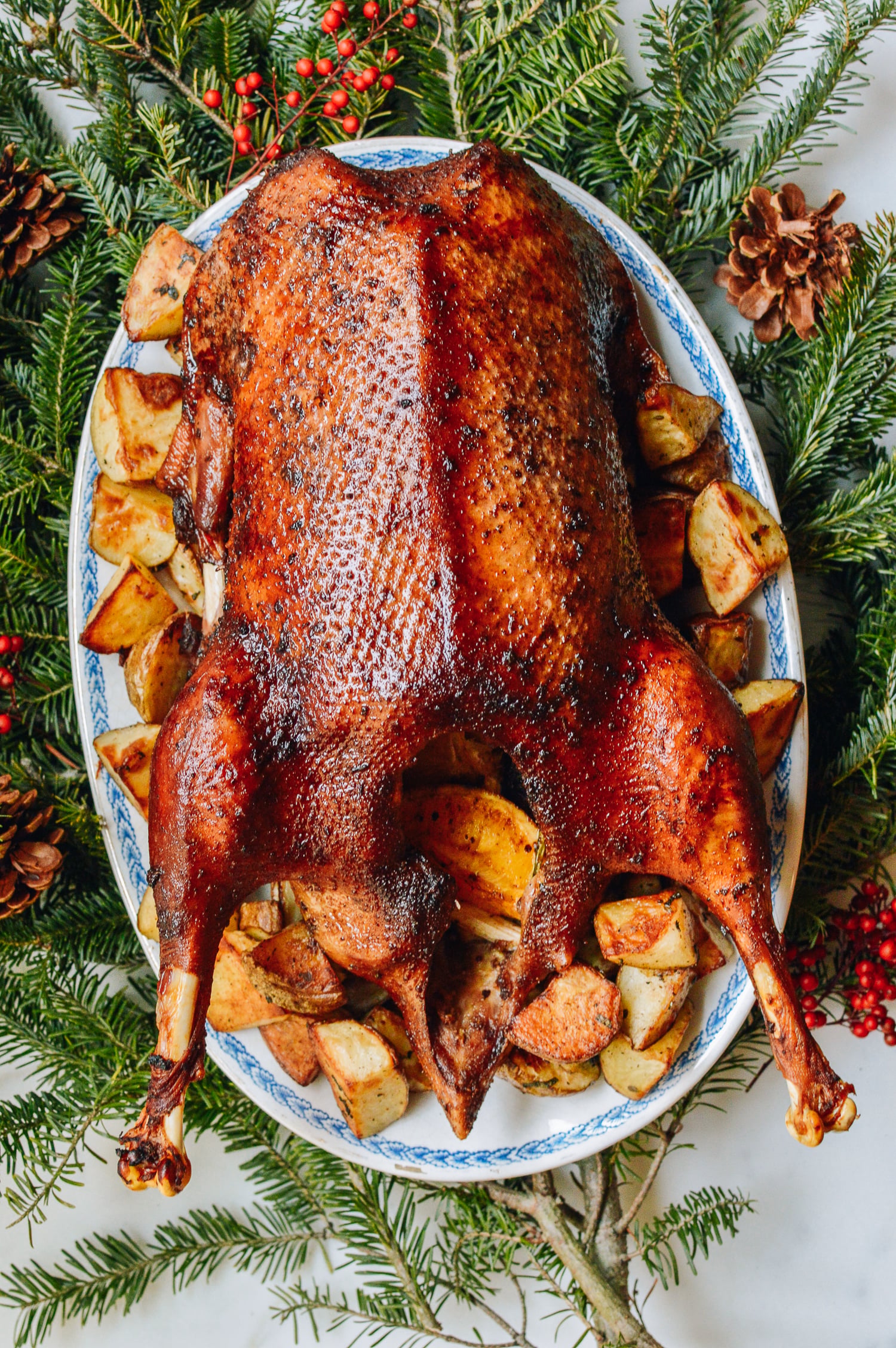 Orange Five-Spice Roast Goose and Potatoes, by bmeteor.aiodimecu.cf